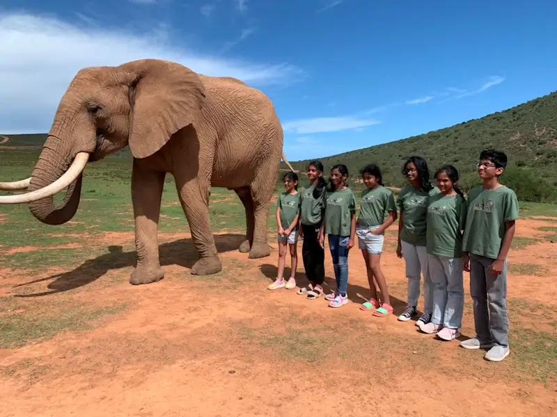 SCHOOL GROUPS - ELEPHANT INTERACTION