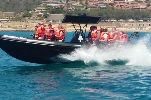 Freaking Fast & Fearless Speedboats